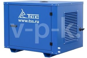 Бензиновый генератор ТСС SGG 7000ENA в погодозащитном кожухе  фото