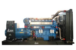 Дизельный генератор ТСС АД-800С-Т400-1РКМ26 в шумозащитном кожухе 057956 фото