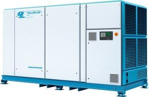 Винтовой компрессор  TAURUS 250 10