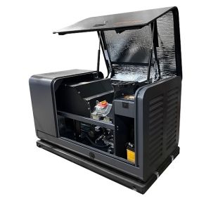 Газовый генератор Mitsui GM 10000 фото