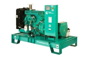 Дизельный генератор CUMMINS C66D5  фото