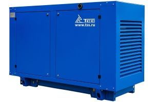 Дизельный генератор ТСС АД-12С-230-2РПМ5 с АВР 039327 фото