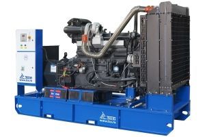 Дизельный генератор ТСС АД-200С-Т400 с АВР 025259 фото