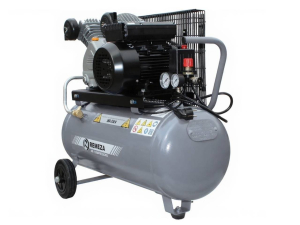 Поршневой компрессор Remeza СБ4/С-50.LB24A передвижной электрический фото